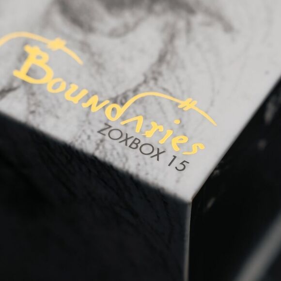 ZOX "THE LAST PUPPER" #766 ZOXBOX 15 Da Vinci DOG Medium collectible wristband - Picture 12 of 16